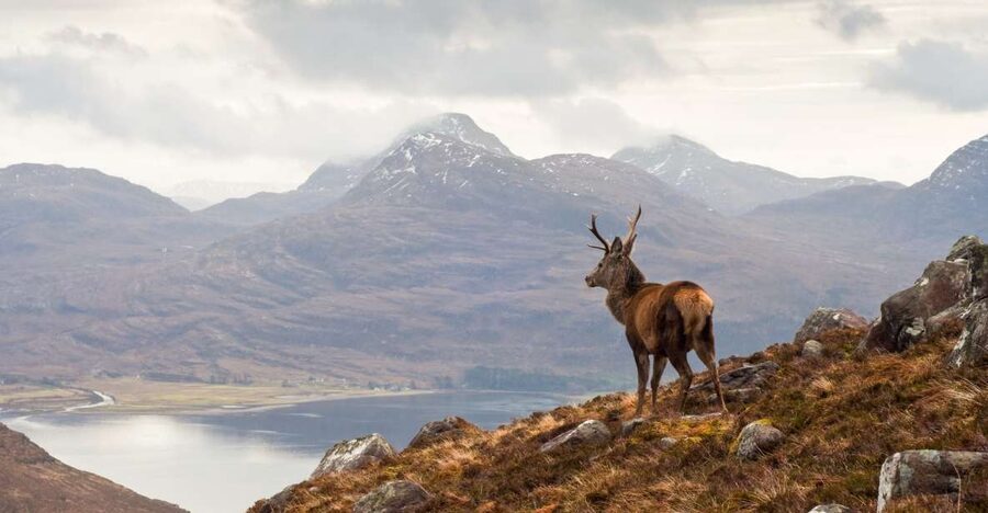 Inverness: Applecross, Loch Carron & Wild Highlands Day Tour - Lochcarron Coffee and the View Build-Up Toward Achintraid