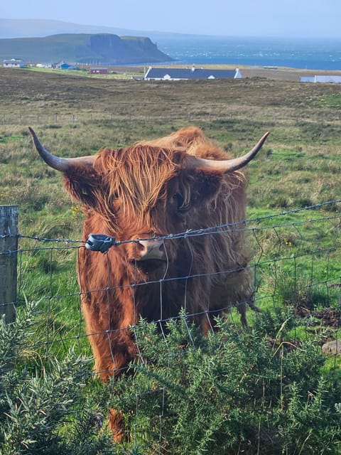Isle of Skye: Tour the highlights and hidden beauties. - Meet your guide: 15th-century Skye roots, Edinburgh studies, and pipes