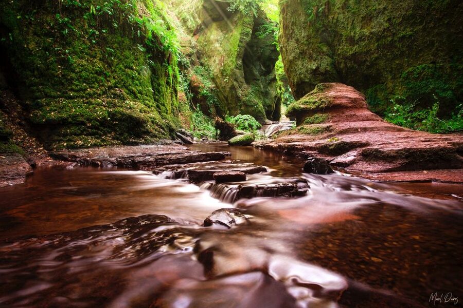 Join the Dark Side of Magical Nature - Key things I’d bet you’ll remember