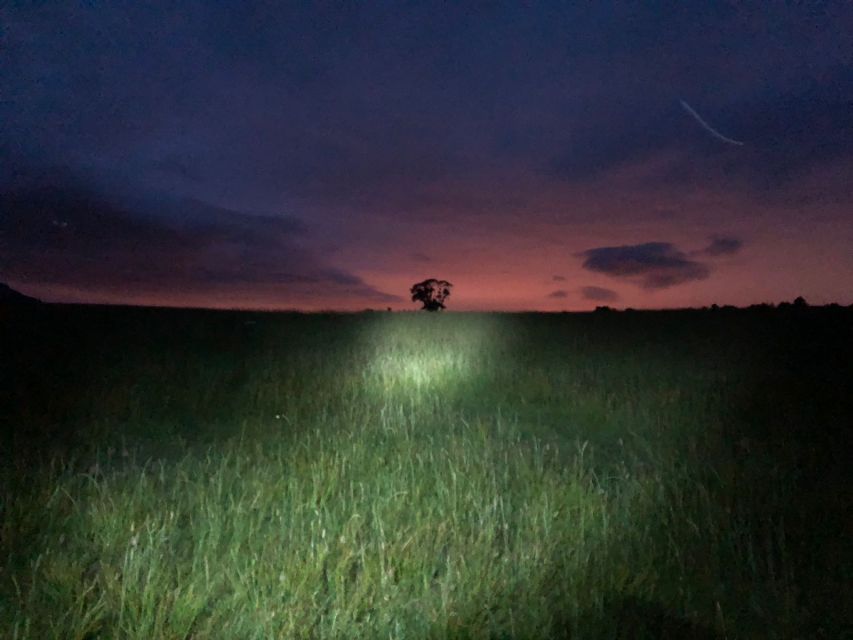 Join the Dark Side of Magical Nature - Who should book this tour, and who should skip it