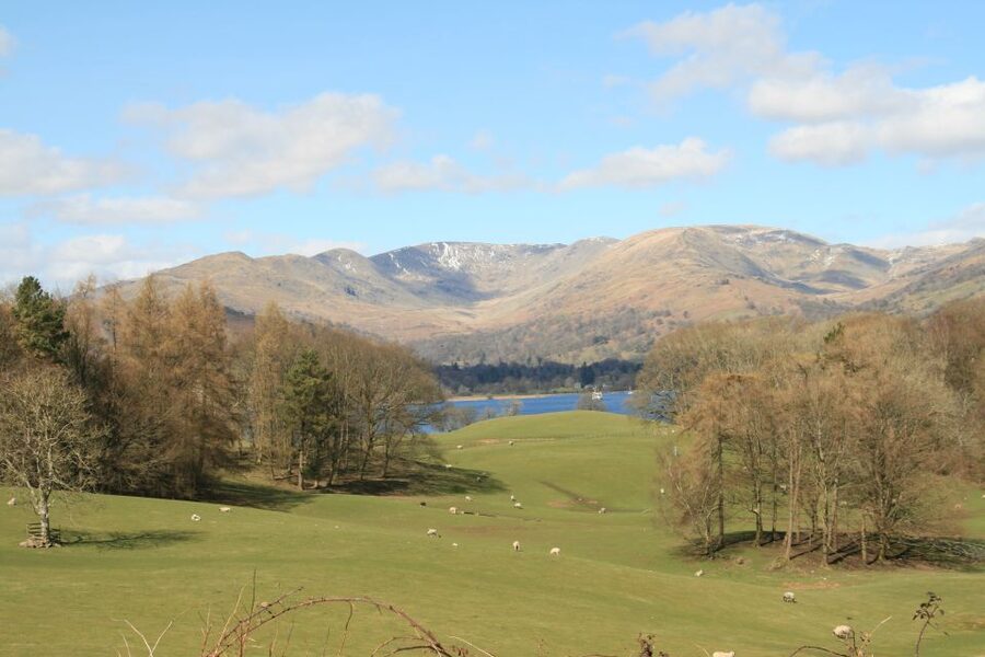Lake District: Langdale Valley and Coniston Half-Day Tour - Coniston village walk: learning what you are looking at