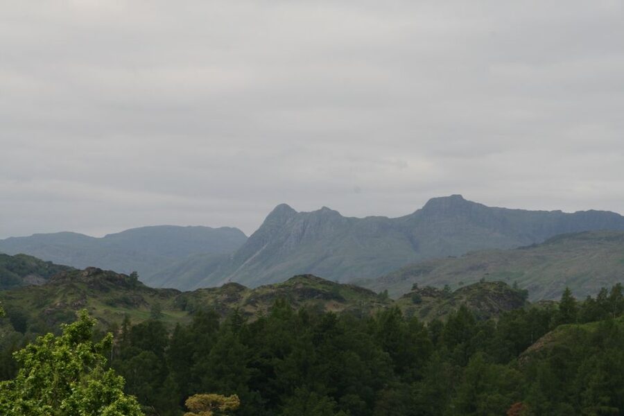 Lake District: Langdale Valley and Coniston Half-Day Tour - Tarn Hows: birdsong views and a surprisingly emotional start