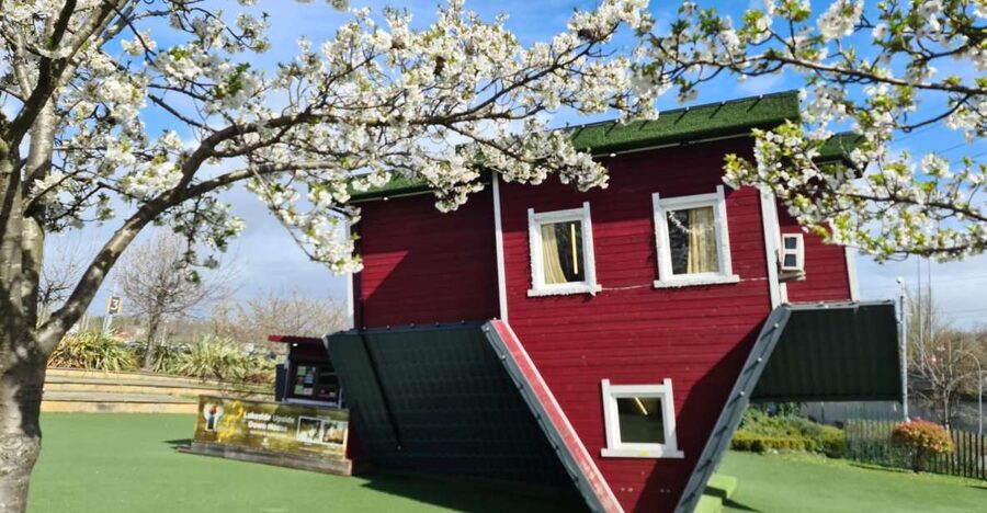 Lakeside: Upside Down House Entry Ticket - Upside Down House Lakeside in Grays: What You Are Really Buying