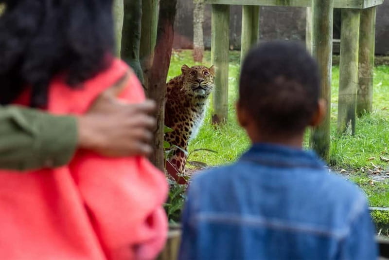 Leicestershire: Twycross Zoo Entry Ticket - Key Highlights You Should Know Before You Go
