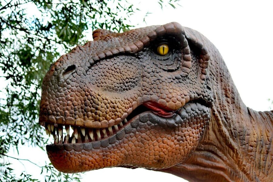 Lincolnshire: ARK Wildlife and Dinosaur Park Entry Ticket - Jurassic Ark: Lincolnshire’s largest dinosaur attraction