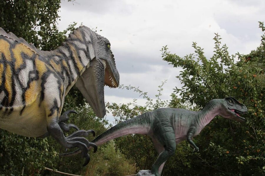 Lincolnshire: ARK Wildlife and Dinosaur Park Entry Ticket - Lemur Lake: a primate stop that’s more than a quick look