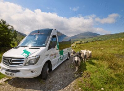 Lake District Tour with Lake Cruise & Train Ride