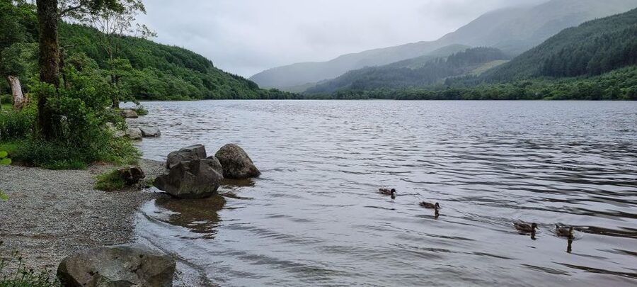 Loch Lomond and The Highlands Day Tour - Loch Lomond and the Trossachs National Park: the calm, photogenic start