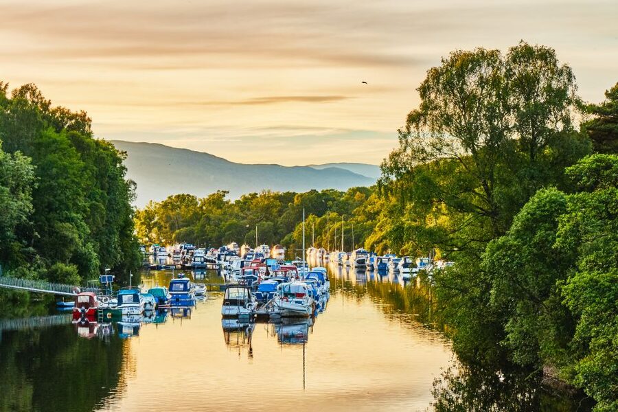 Loch Lomond: Scottish Highlands Sightseeing Cruise - What the One-Hour Route Feels Like From Start to Finish