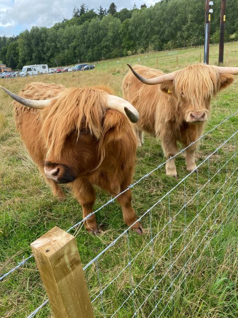 LOCH NESS, INVERNESS, CLAVA CAIRNS & MORE FROM INVERGORDON - Culloden Battlefield: Jacobites, Not Just a Sighting