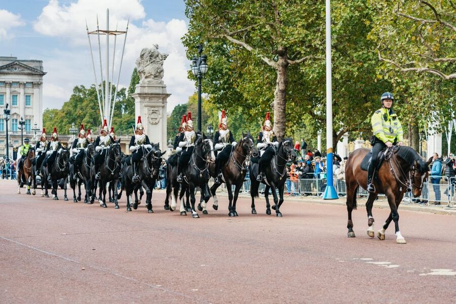 London: Changing of The Guard Tour - The real value: symbolism, uniforms, and how to read the show