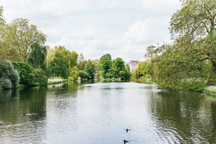 London: Changing of the Guard Tour by Buckingham Palace - Meet-up logistics that affect your first 10 minutes