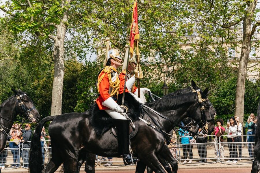 London: Changing of the Guard Tour by Buckingham Palace - How the guide keeps your view clear, even when crowds swell