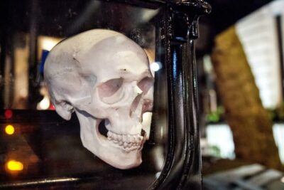 Comedy Horror Ghost Tour on a Bus
