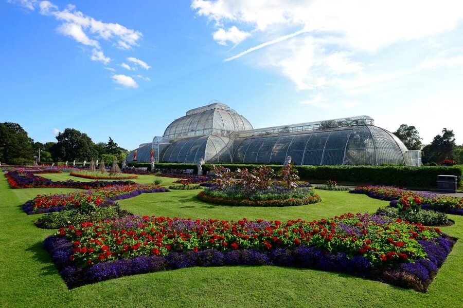 London: Kew Gardens Admission Ticket - Kew Gardens in One Day: How This UNESCO Site Works