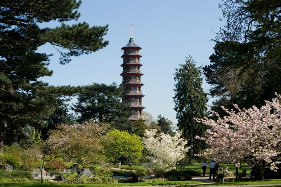 London: Kew Gardens Admission Ticket - Palm House: The Exotic Rainforest Moment