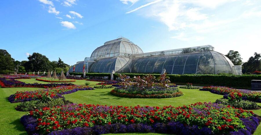 London: Kew Gardens Admission Ticket - Princess of Wales Conservatory: Ten Climate Zones Without the Plane