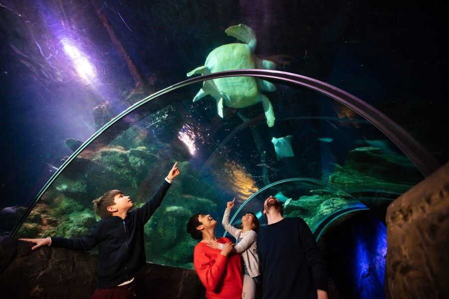London: Madame Tussauds, London Eye & SEA LIFE Combo Ticket - Quick picks before you go