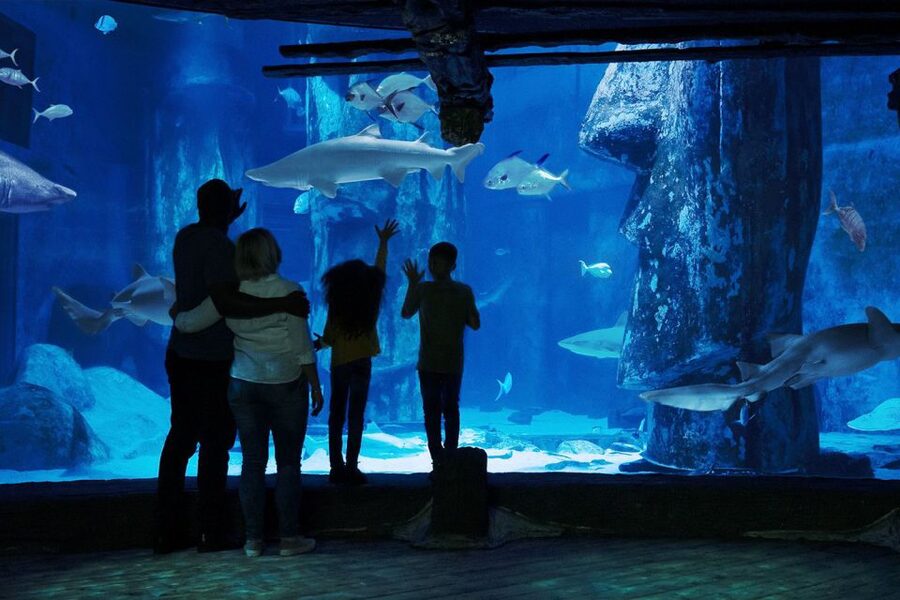 London: Madame Tussauds, London Eye & SEA LIFE Combo Ticket - Should you book this combo ticket?