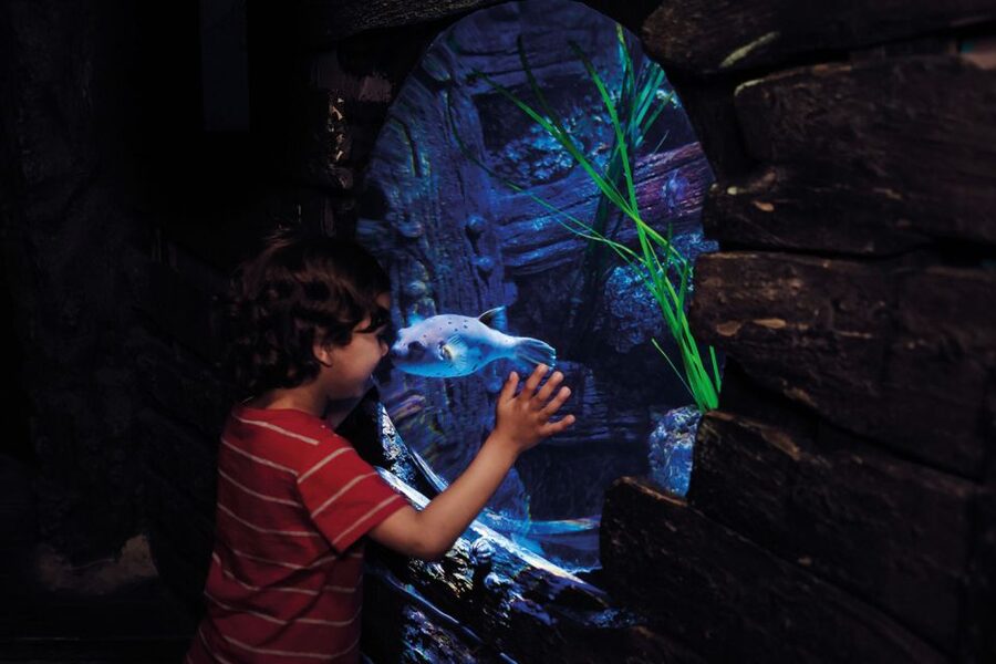 London: Madame Tussauds, London Eye & SEA LIFE Combo Ticket - How the 3-attraction combo ticket really works