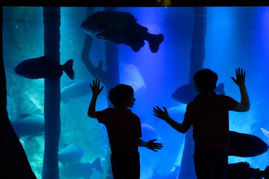 London: Madame Tussauds, SEA LIFE and London Dungeon Entry - A one-pass mix of celebrity, sea life, and spooky London history