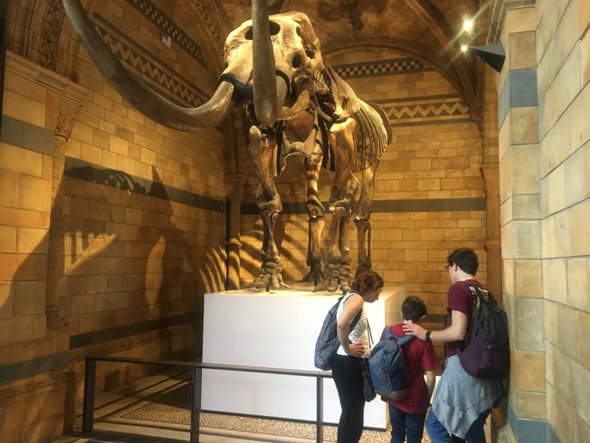 London: Natural History Museum Entry Ticket and Guided Tour - Key things to look forward to