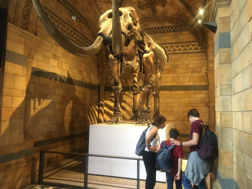 London: Natural History Museum Entry Ticket and Guided Tour - How the tour starts: express entry and headsets