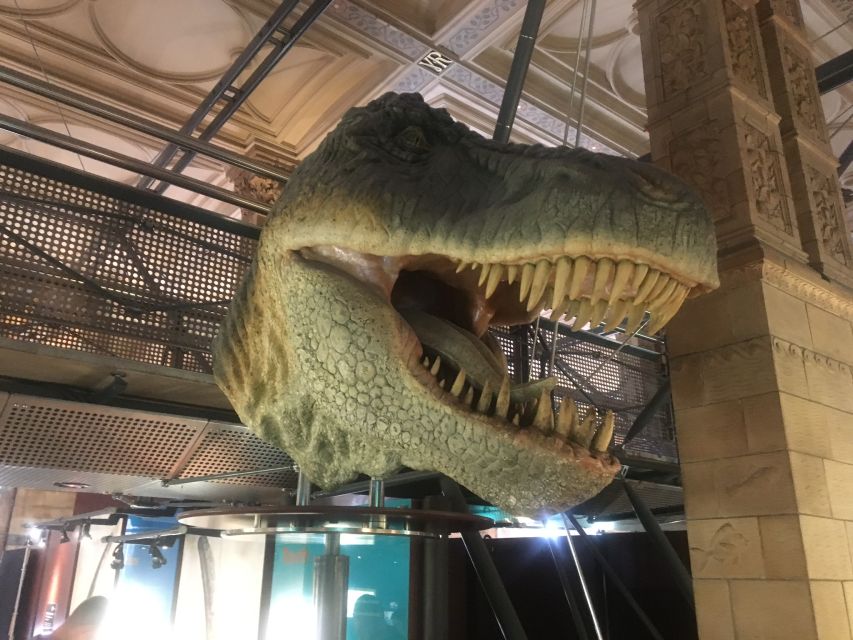 London: Natural History Museum Entry Ticket and Guided Tour - Hintze Hall: blue whale and dinosaurs up close