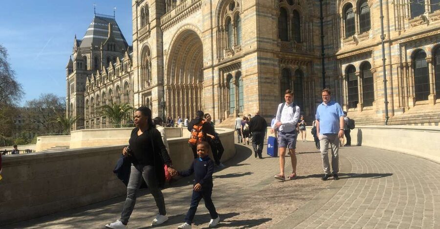 London: Natural History Museum Entry Ticket and Guided Tour - Volcanoes and Earthquakes Gallery: Earth in motion, explained