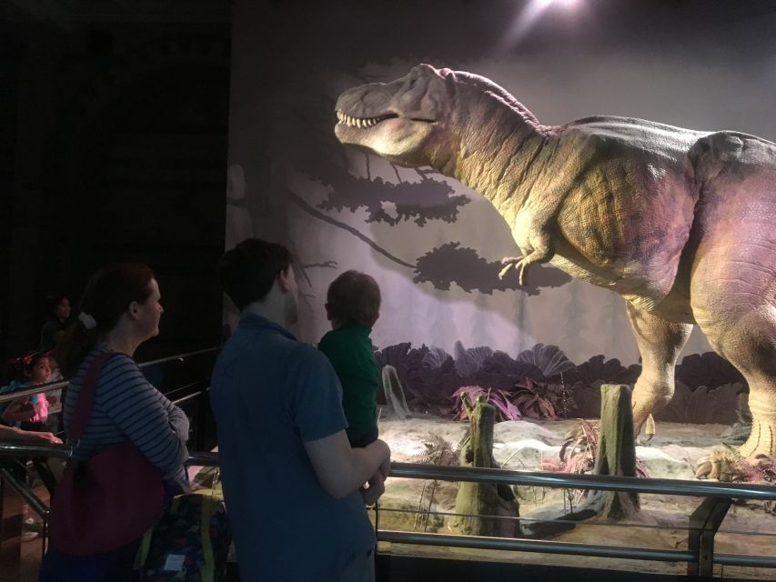 London: Natural History Museum Entry Ticket and Guided Tour - Minerals, gems, and the butterfly collection
