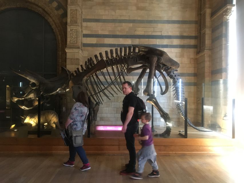 London: Natural History Museum Entry Ticket and Guided Tour - Evolution Gallery: how the museum ties life together