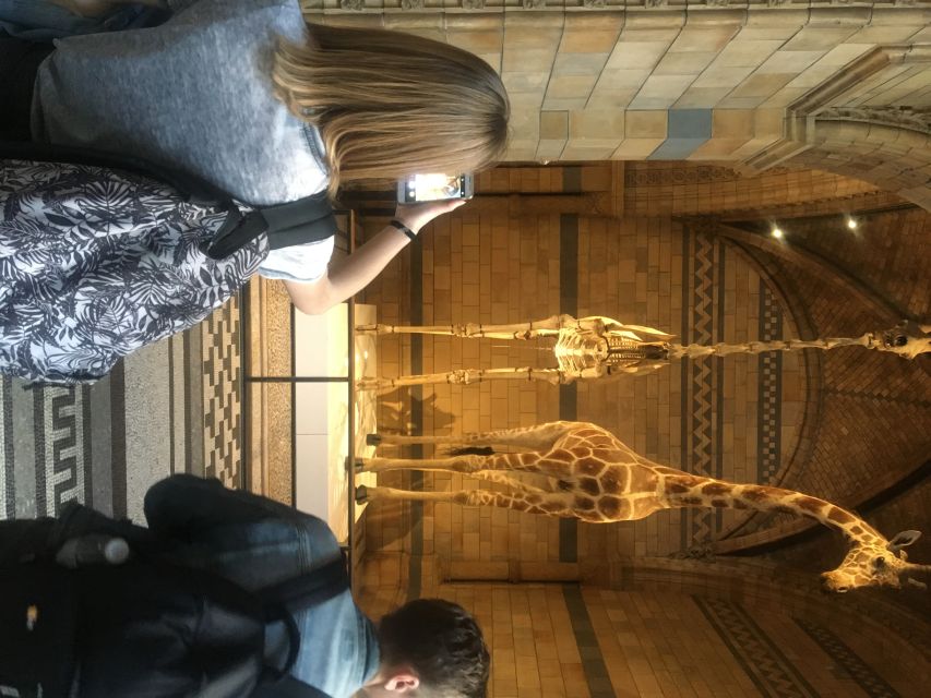 London: Natural History Museum Entry Ticket and Guided Tour - Getting to the meeting point at South Kensington