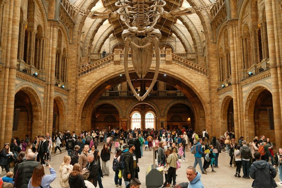 London: Natural History Museum Guided Tour - Key highlights you will actually use