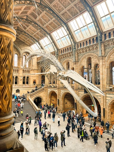 London: Natural History Museum Guided Tour - The Natural History Museum in 2.5 hours, and why a guide pays off