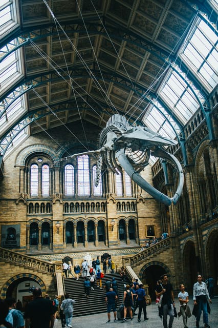 London: Natural History Museum Guided Tour - Earth’s beginnings to early species: the tour’s fossil-powered start