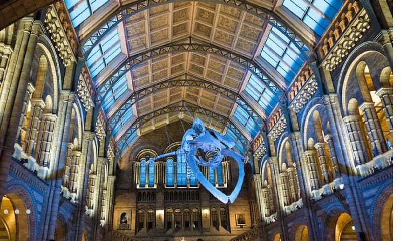 London: Natural History Museum Guided Tour w/ Priority Entry - Key highlights at a glance