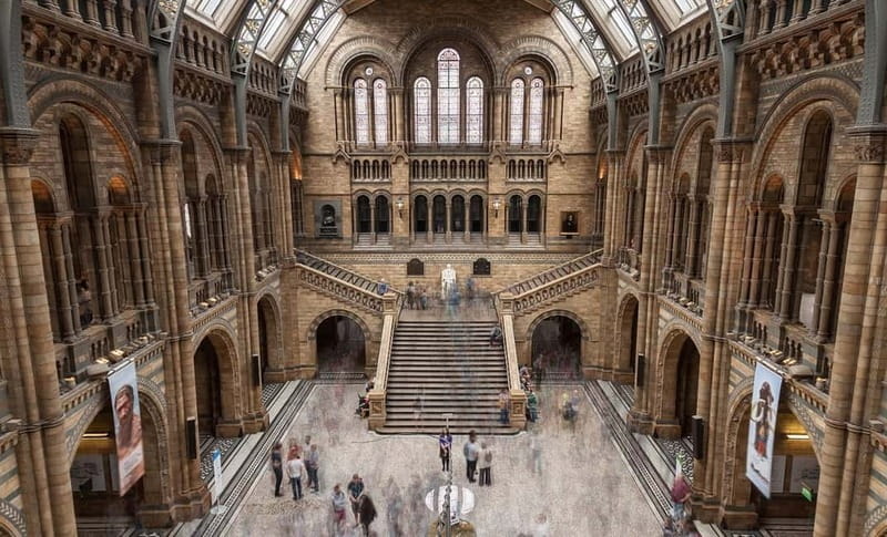 London: Natural History Museum Guided Tour w/ Priority Entry - Dinosaurs and early humans: why the guided route matters