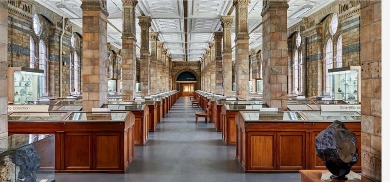 London: Natural History Museum Guided Tour w/ Priority Entry - What you get for the $33 price: value check