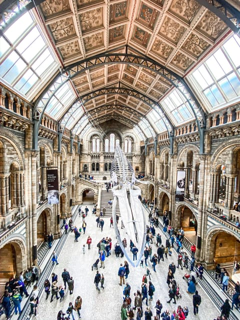 London: Natural History Museum Guided Tour - Getting in, getting oriented, and handling museum rules