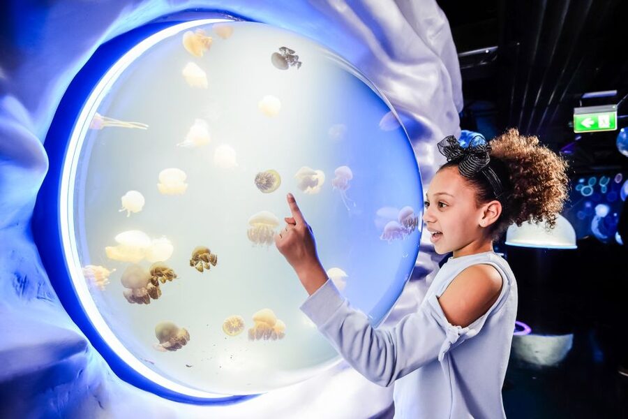 London: SEA LIFE Entry Ticket - Key highlights to know before you go