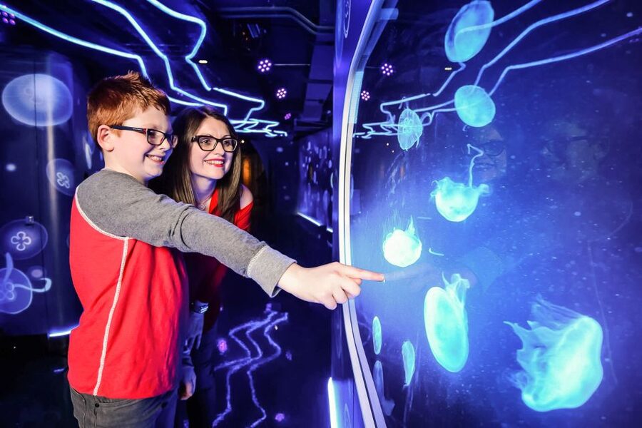 London: SEA LIFE Entry Ticket - Suspended glass and the moment you look down for sharks