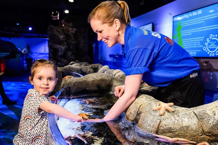 London: SEA LIFE Entry Ticket - Timed entry and how to pace your arrival without stress