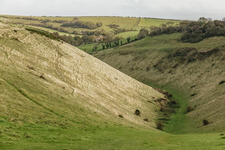 London: South Downs White Cliffs Day Trip with Train Tickets - Key highlights at a glance
