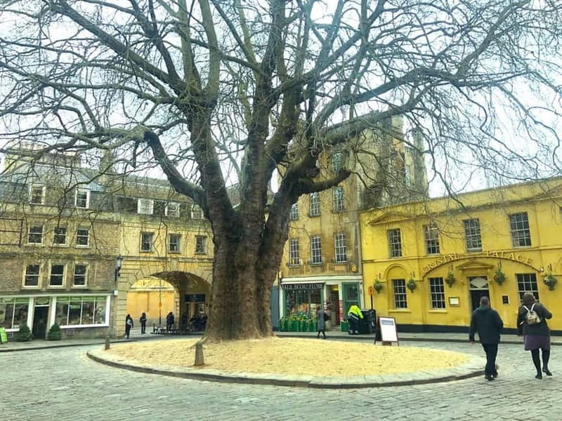London: Stonehenge, Bath, Windsor, and Roman Baths Day Tour - Should You Book This Stonehenge, Bath, and Windsor Day Tour?