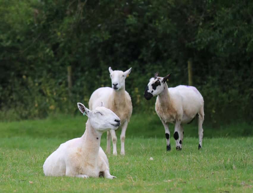 London: Top 7 Cotswolds Stops plus Shakespeare's Stratford - Snowshill: quieter village time when you want a breather