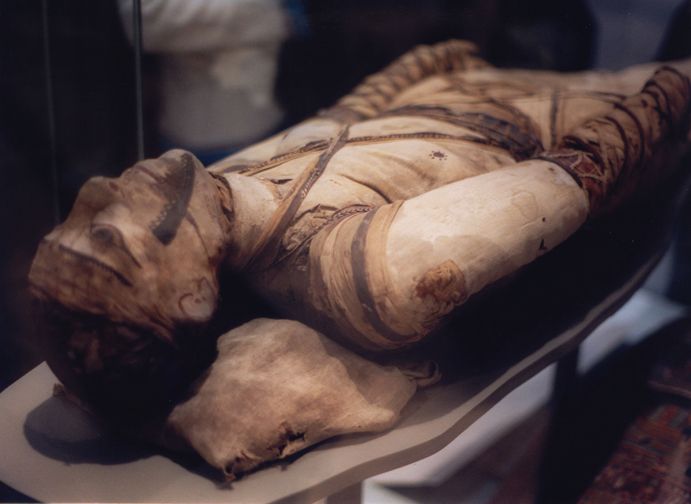 London: Tour of the British Museum - Assyria: Power, Presence, and What Survives