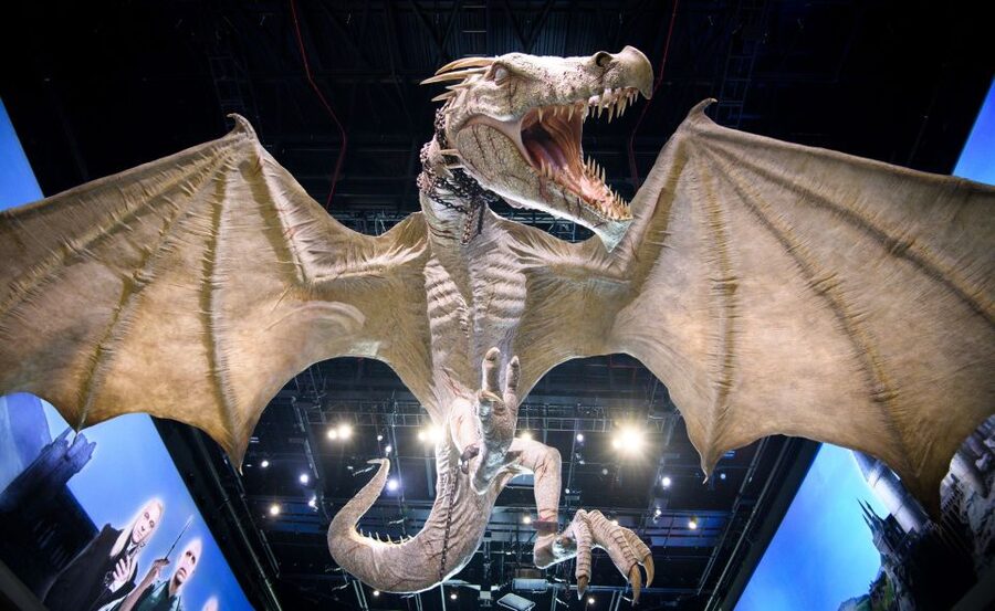 London: Warner Bros. Studio Tour with Return Transportation - Who This Tour Suits Best, and Who Might Want to Rethink It