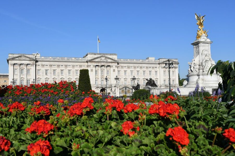 London: Westminster Walking Tour & Westminster Abbey Visit - Trafalgar Square and Whitehall: where politics and pageantry share the same streets