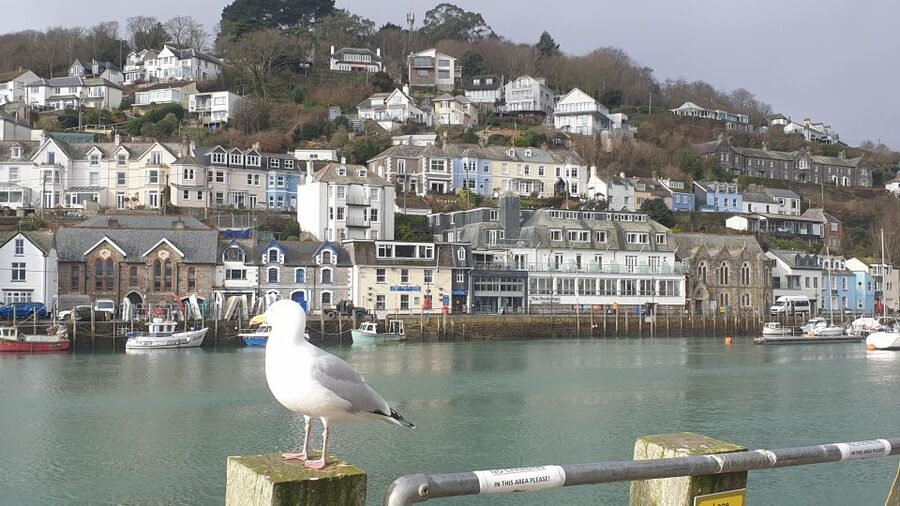 Looe: Beyond Paradise TV Locations Tour - Local shops, The Sail Loft, and the real-day Looe contrast