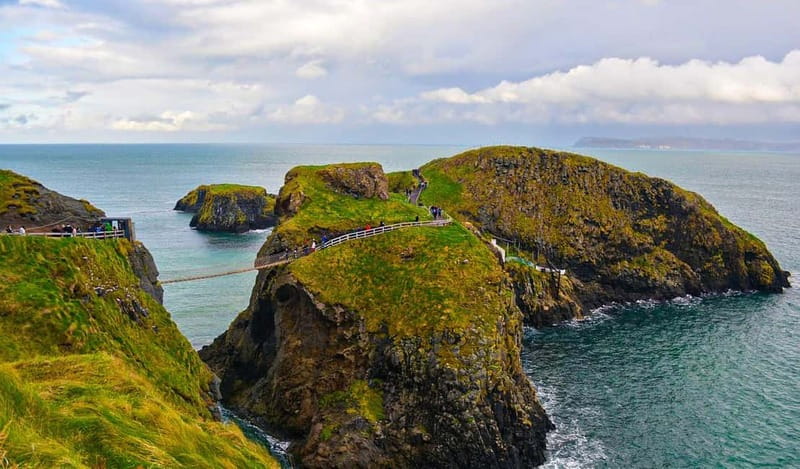 Morning Giant’s Causeway Half Day Tour from Belfast - Dark Hedges drive-by: the Game of Thrones vibe, with modern limits